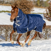Bucas Freedom Turnout Full Neck 300g deken Marineblauw