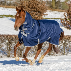 Bucas Freedom Turnout Full Neck 300g deken Bucas Freedom Turnout Full Neck 300g deken