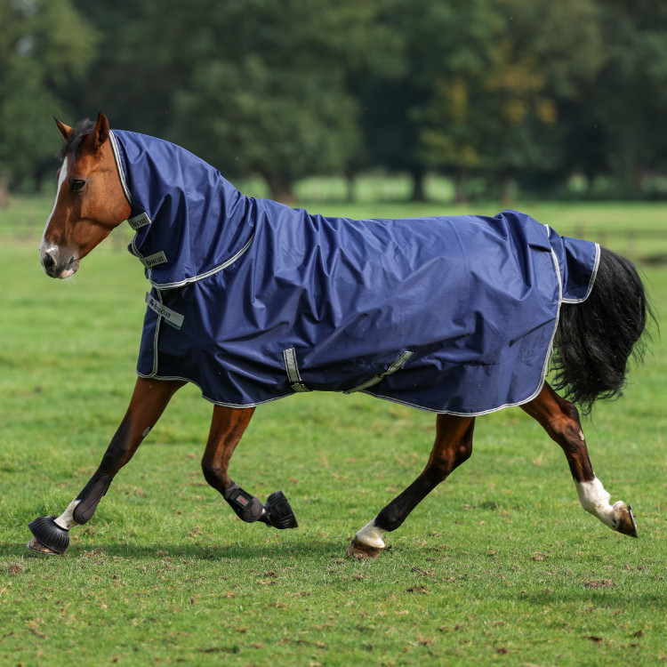 Bucas Freedom Turnout Full Neck 300g deken Bucas Freedom Turnout Full Neck 300g deken