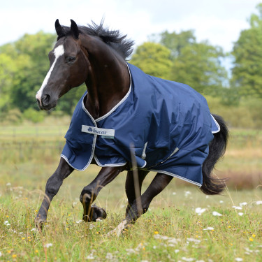 Bucas Freedom Turnout 300g deken Denim Bucas Freedom Turnout 300g deken Denim