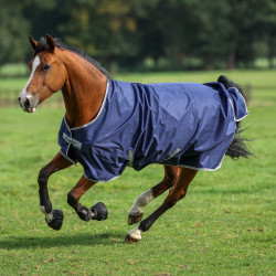 Bucas Freedom Turnout 150g deken Marine / zilver Blauw Bucas Freedom Turnout 150g deken Marine / zilver Blauw