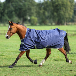 Bucas Freedom Turnout High Neck 150g deken Marine / zilver Blauw Bucas Freedom Turnout High Neck 150g deken Marine / zilver Blauw