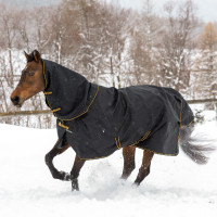 Nekstuk Bucas Irish Combi Neck Zwart / goud Nekstuk Bucas Irish Combi Neck Zwart / goud