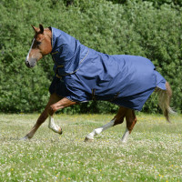 Nekstuk Bucas Irish Combi Neck Zwart / goud Nekstuk Bucas Irish Combi Neck Zwart / goud