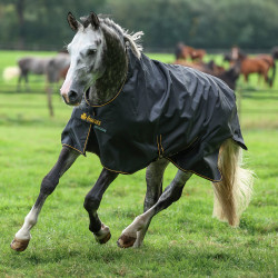 Bucas Irish Turnout High Neck Extra 300g Deken Zwart / goud