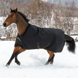 Bucas Irish Turnout High Neck Extra 300g Deken Zwart / goud