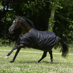 Bucas Irish Turnout Extra 300g deken Zwart / goud