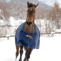 Bucas Irish Turnout Extra 300g deken Marine / goudkleurig Blauw Bucas Irish Turnout Extra 300g deken Marine / goudkleurig Blauw