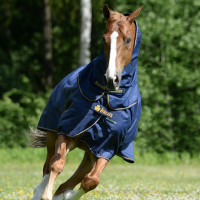 Bucas Irish Turnout Extra 300g deken Zwart / goud