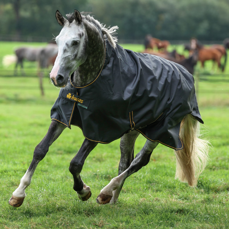 Bucas Irish Turnout High Neck Light 50g deken Bucas Irish Turnout High Neck Light 50g deken