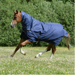 Bucas Irish Turnout Light 50g deken Marine / goudkleurig Blauw Bucas Irish Turnout Light 50g deken Marine / goudkleurig Blauw