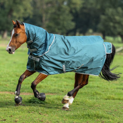 Halsstuk Bucas Atlantic Combi Neck 300g Groen