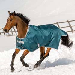 Bucas Atlantic Turnout 50g deken Groen Bucas Atlantic Turnout 50g deken Groen