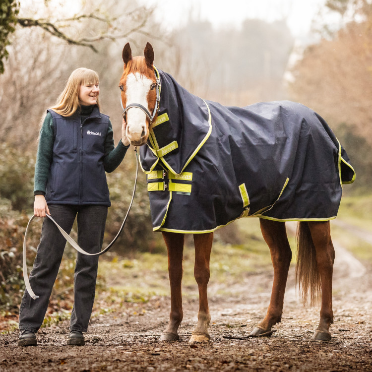 Bucas Oasis Turnout 100g deken met halsstuk Bucas Oasis Turnout 100g deken met halsstuk
