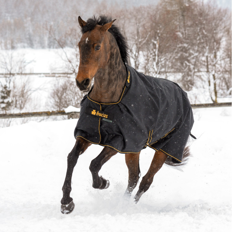 Bucas Irish Turnout Light 50g deken met halsstuk Bucas Irish Turnout Light 50g deken met halsstuk