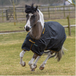 Bucas Irish Turnout Light 50g deken met halsstuk Bucas Irish Turnout Light 50g deken met halsstuk