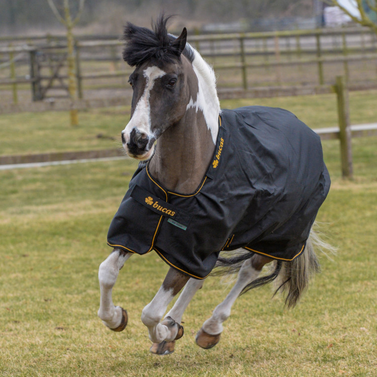 Bucas Irish Turnout Light 50g deken met halsstuk Bucas Irish Turnout Light 50g deken met halsstuk