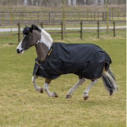 Bucas Irish Turnout Light 50g deken met halsstuk Bucas Irish Turnout Light 50g deken met halsstuk