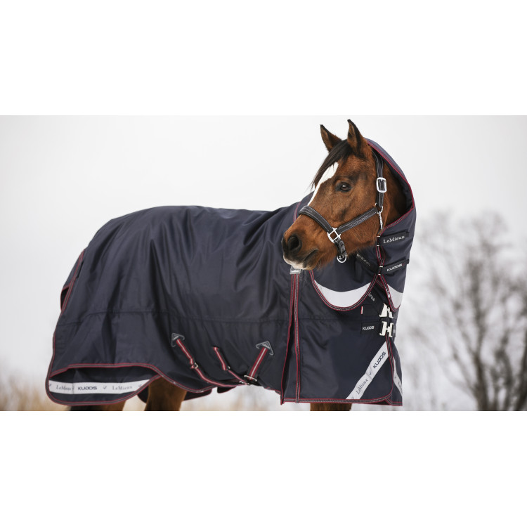Buitendeken LeMieux Kudos 200 g Buitendeken LeMieux Kudos 200 g