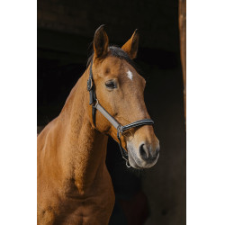 Nylon halster Equithème Domino
