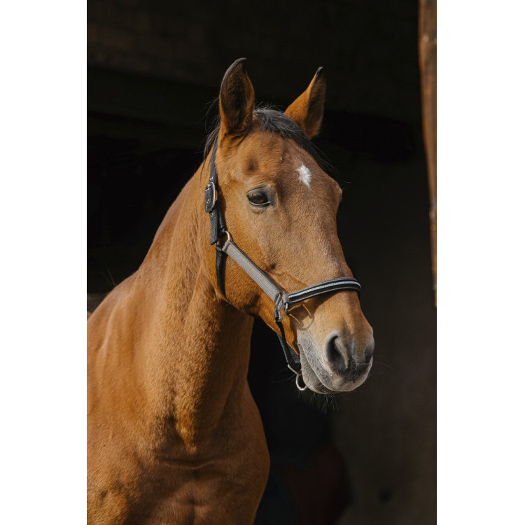 Nylon halster Equithème Domino Nylon halster Equithème Domino