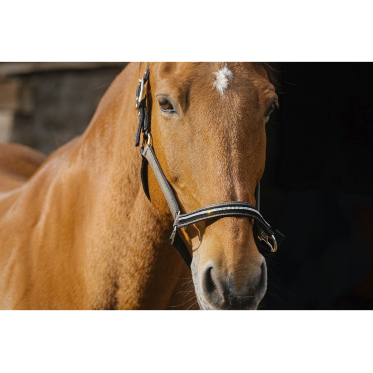 Nylon halster Equithème Domino Nylon halster Equithème Domino