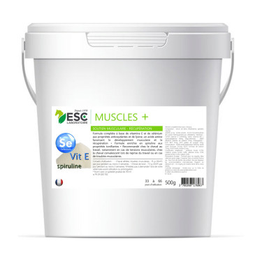 Muscle+ ESC Laboratoire