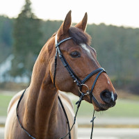 Bridon Horze Weston Zwart Bridon Horze Weston Zwart