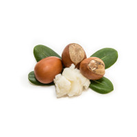 Beurre de Karité ESC Laboratoire Beurre de Karité ESC Laboratoire