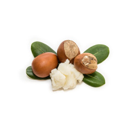 Beurre de Karité ESC Laboratoire Beurre de Karité ESC Laboratoire