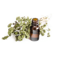 Air+ modificateur d’Ambiance Écurie ESC Laboratoire