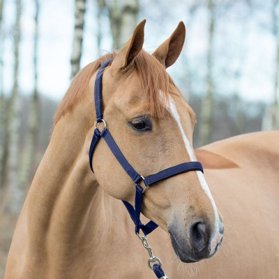 Halster Horze Supreme met voering Blauw