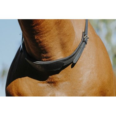 Norton bareback halster Norton bareback halster