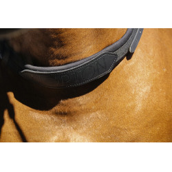 Norton bareback halster Norton bareback halster
