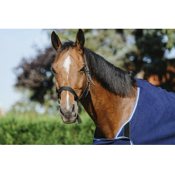 Presentatiemap Riding World Presentatiemap Riding World