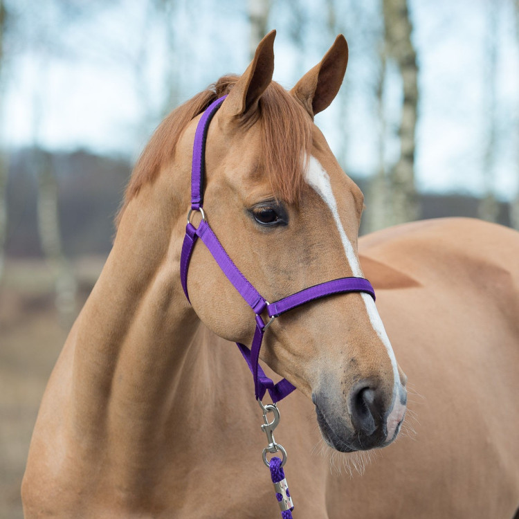 Halster Horze Supreme met voering