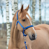 Halster Horze Supreme met voering Koningsblauw