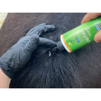 Lotion Animaderm Original