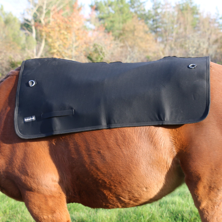 Rugverwarmer Back on Track Rugverwarmer Back on Track