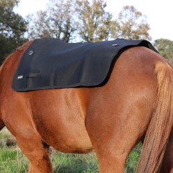 Rugverwarmer Back on Track Rugverwarmer Back on Track