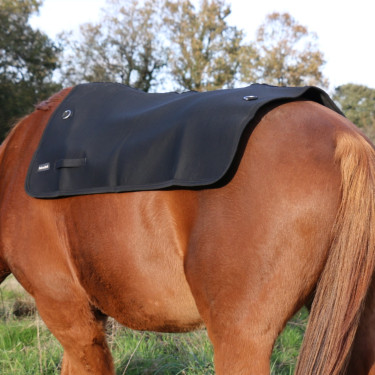 Rugverwarmer Back on Track Rugverwarmer Back on Track