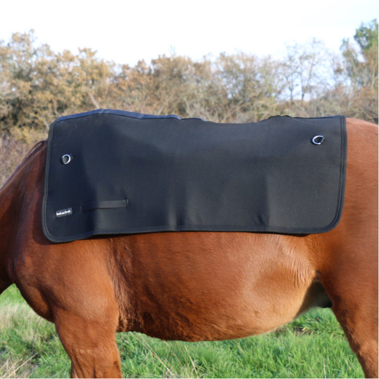 Rugverwarmer Back on Track Rugverwarmer Back on Track