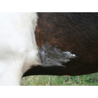 Baume Animaderm Natjely Baume Animaderm Natjely