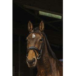 Bridon Norton Pro Donker Bridon Norton Pro Donker
