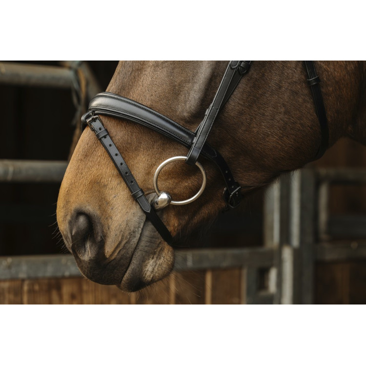 Bridon Norton Pro Donker Bridon Norton Pro Donker