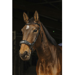 Bridon Norton Pro Hackamore Bridon Norton Pro Hackamore