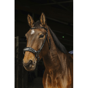 Bridon Norton Pro Hackamore Bridon Norton Pro Hackamore