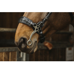 Bridon Norton Pro Hackamore Bridon Norton Pro Hackamore
