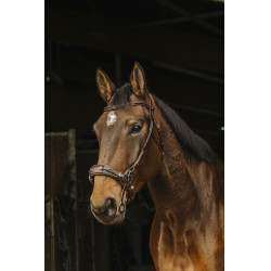 Bridon Norton Pro Hackamore Bridon Norton Pro Hackamore