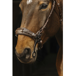 Bridon Norton Pro Hackamore Bridon Norton Pro Hackamore